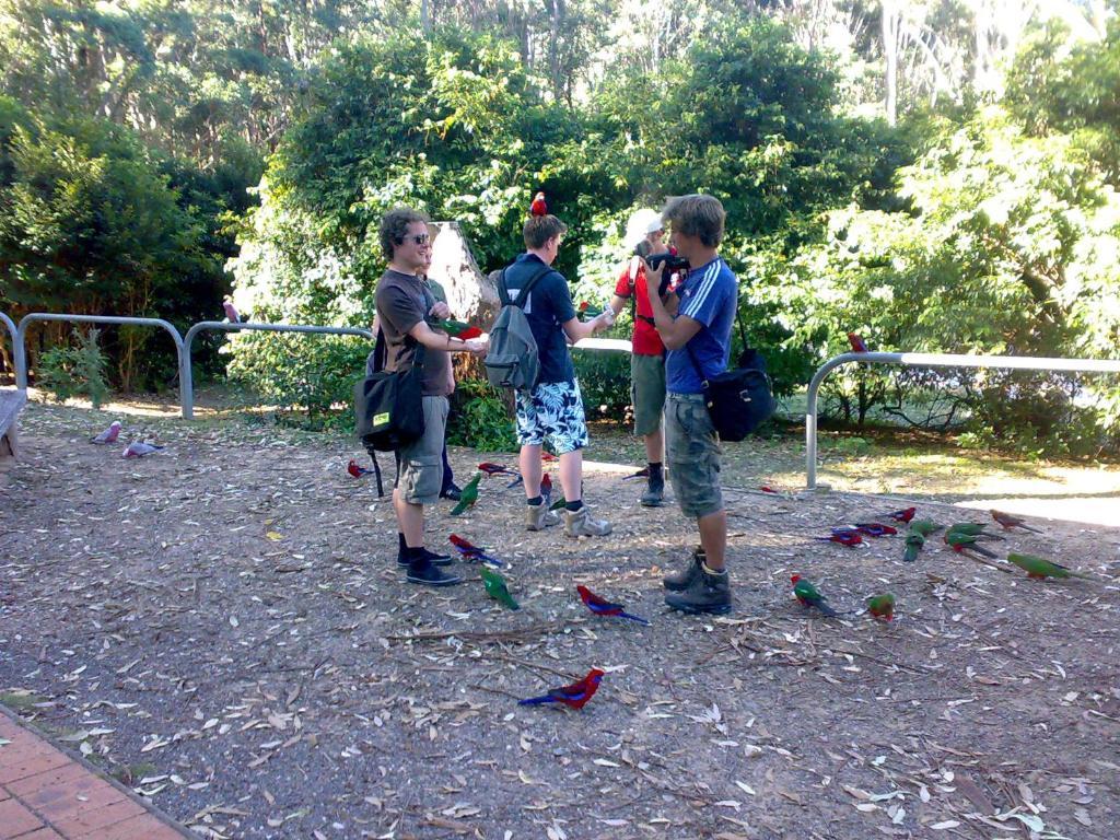 Batemans Bay Holiday Park & Hostel Экстерьер фото